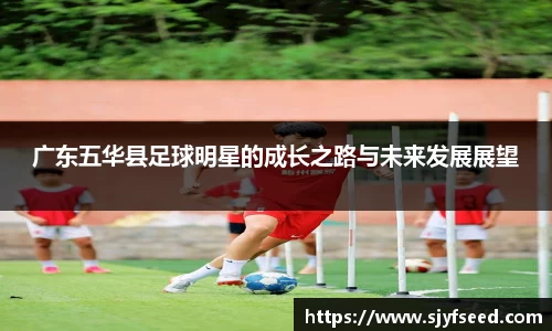 xc体育网址入口