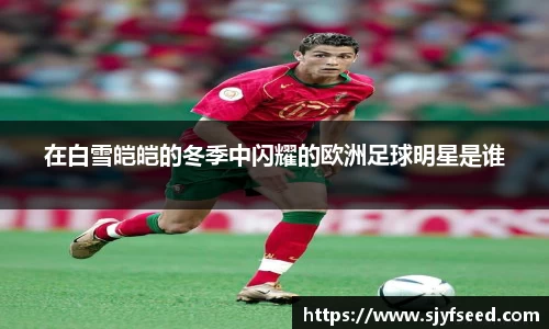 在白雪皑皑的冬季中闪耀的欧洲足球明星是谁