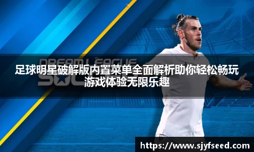 足球明星破解版内置菜单全面解析助你轻松畅玩游戏体验无限乐趣